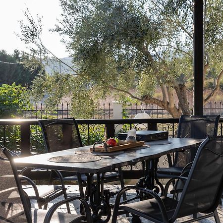 Villa Joy Ormos Panagias Bagian luar foto