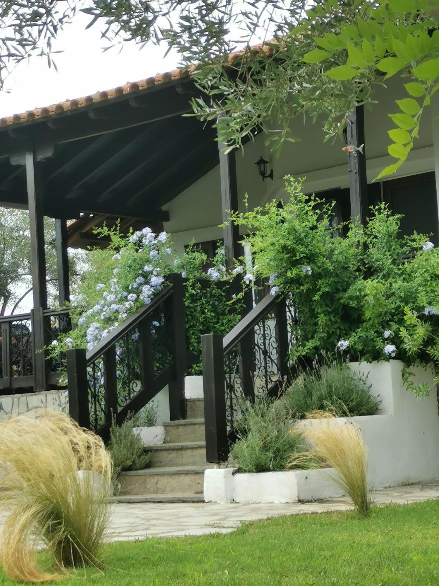 Villa Joy Ormos Panagias Bagian luar foto
